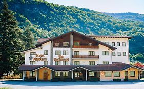Hotel Napoleon